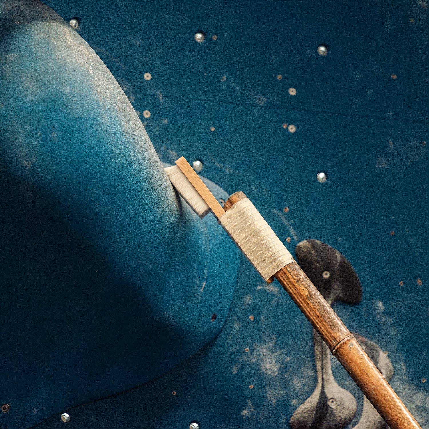 Infinity Brush L - Lot de 10 unités