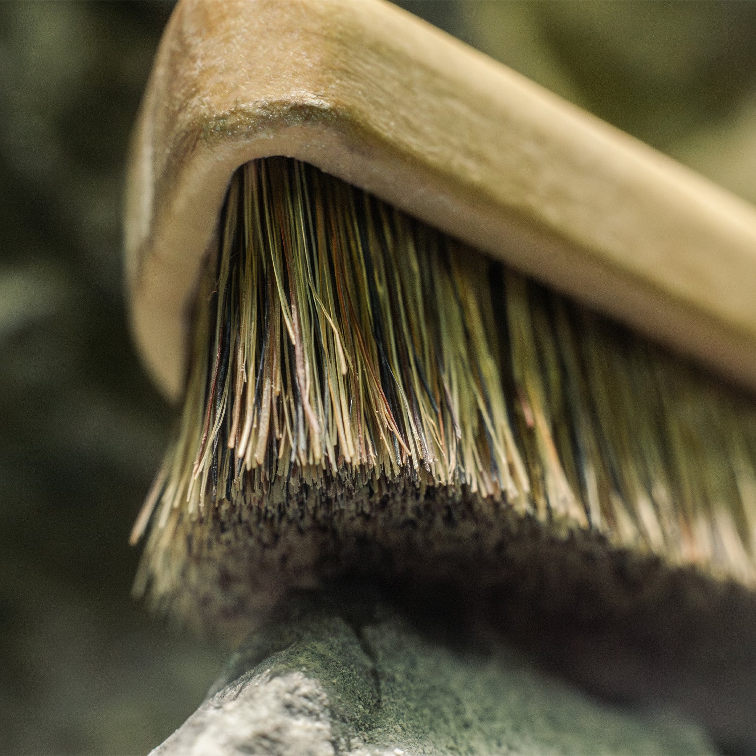 VerticalBrush S - Lot de 10 unités