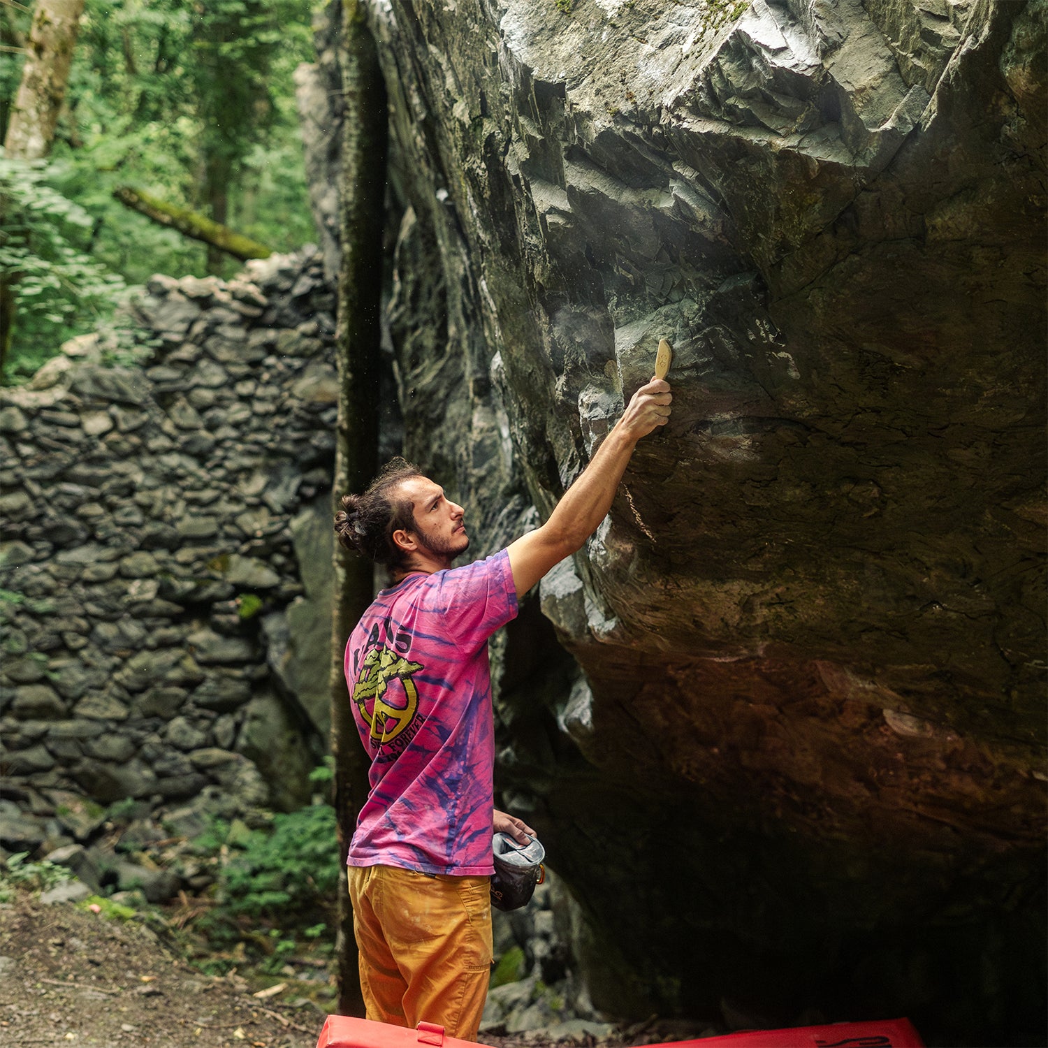 VerticalBrush L - Lot de 10 unités