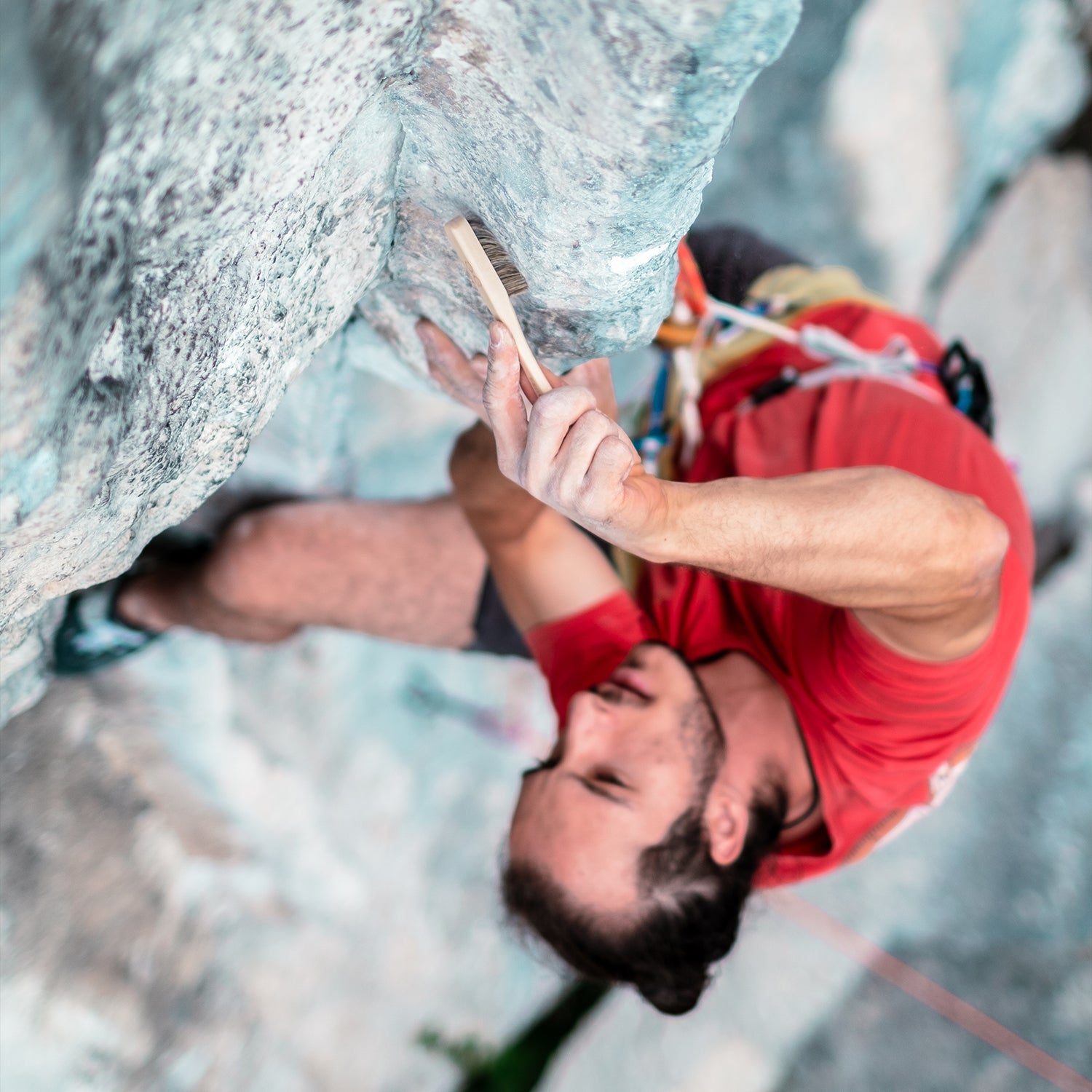 VerticalBrush S - Lot de 10 unités