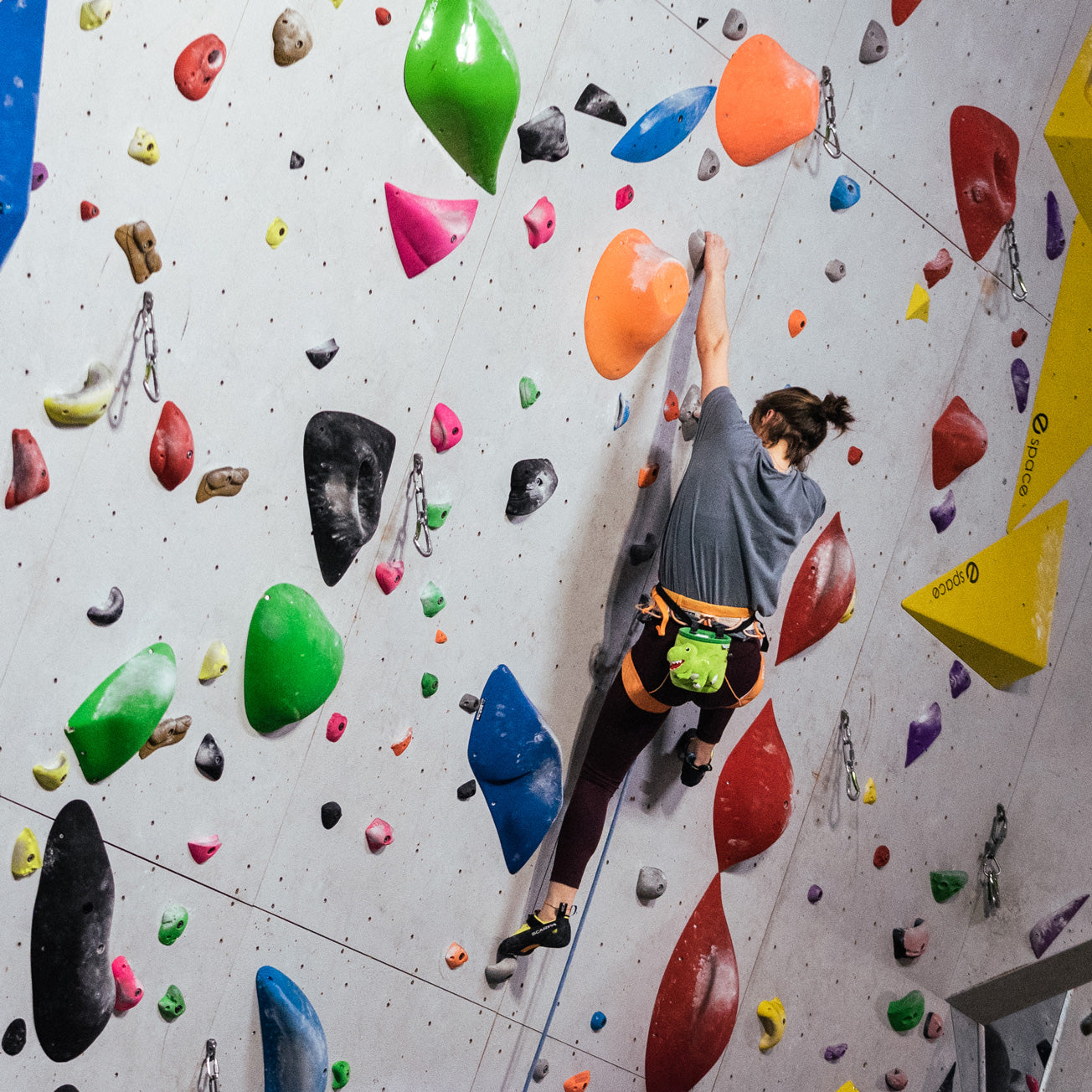 Sac à magnésie - T-Rex