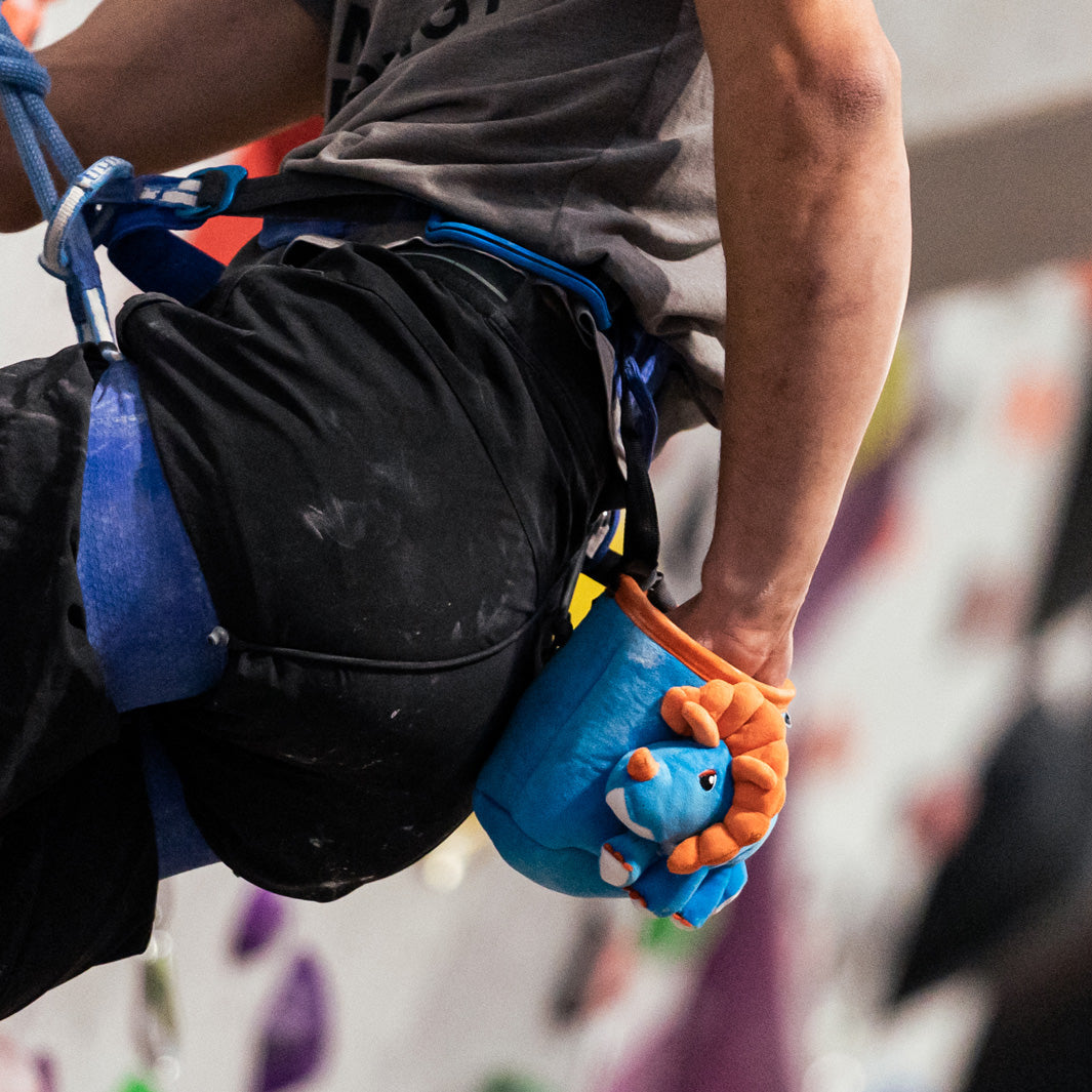 Sac à magnésie - Tricératops