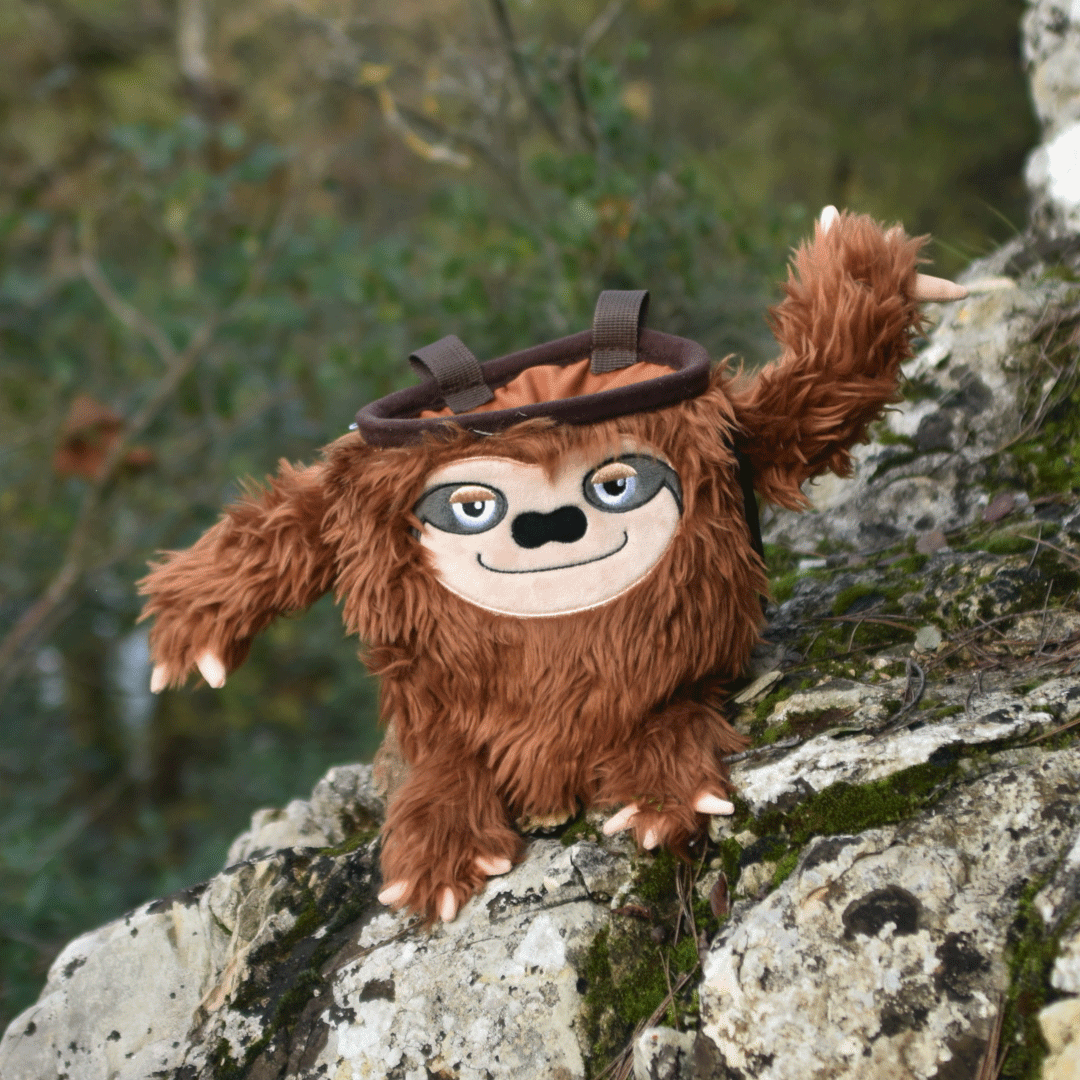 Sac à magnésie - Paresseux